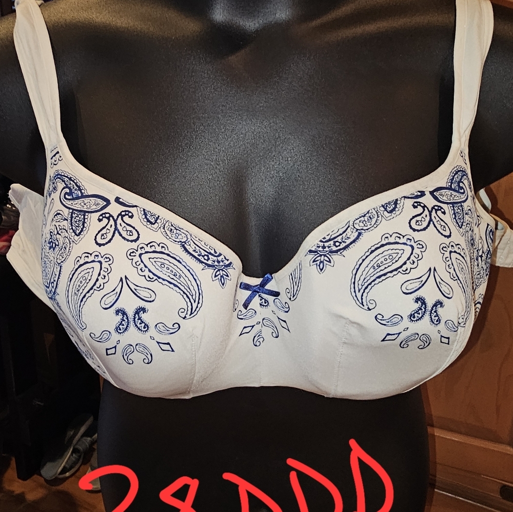 Women's Paisley Print Bra - White and Blue 38DDD